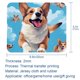 thumbnail image 5 of Alfombrilla de ratón Happy Corgis con base de goma antideslizante, cuadrada, protector para portátil, almohadillas de escritura, alfombrilla de ratón para juegos de ordenador, alfombrilla, 5 of 7