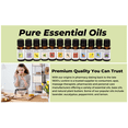 thumbnail image 6 of LorAnn Oils Eucalyptus Natural Food Grade Essential Oil 4 oz. Bottle, Baking and Flavoring - Kosher, 6 of 7