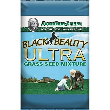 Lawn Grass Seed Bb 1#