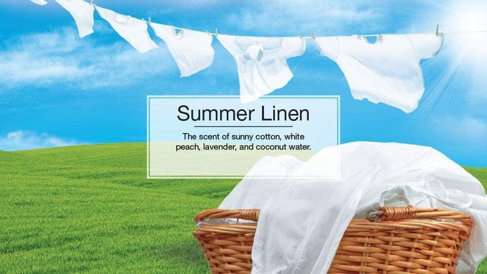 Little Trees 60574 Summer Linen Hanging Air Freshener for Car & Home 72 Pack!
