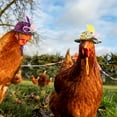 thumbnail image 4 of 6 Pieces Chicken Hats for Hens Tiny Pets, Funny Halloween Accessories Feather Top Hat with Adjustable Elastic Chin Strap, Rooster Duck Parrot Poultry Stylish Show Costume, 4 of 6