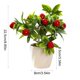 thumbnail image 3 of High-End Artificial Fruit Bonsai Flower Arrangements Indoor Home Fashion Decorations Green Plants And Artificial Flowers, 3 of 6