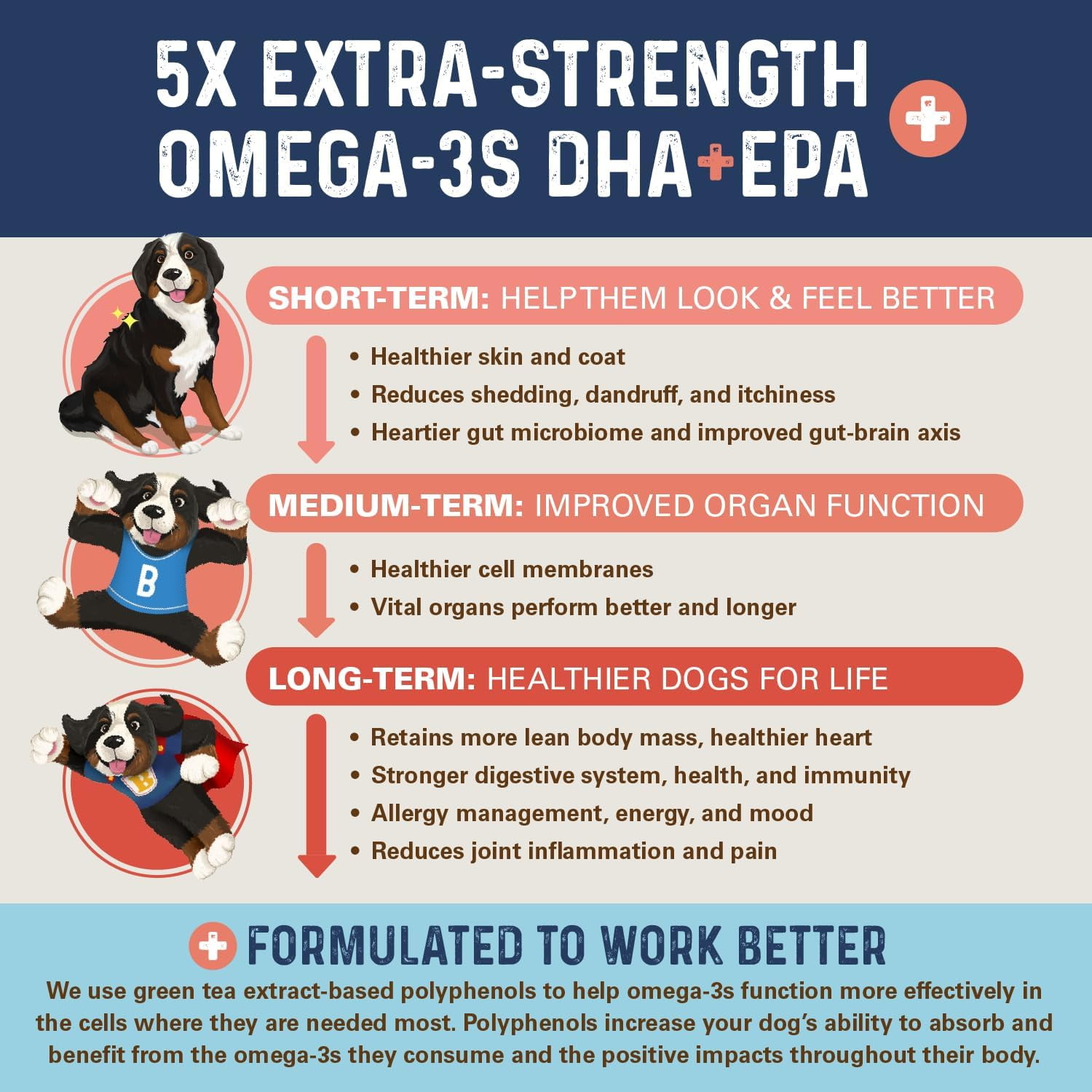 Bernie's OMG! Omegas - 5X Extra Strength Omega-3s DHA+EPA, Chews with Fish Oil for Dogs, Ultimate Skin & Coat, Works as Dog Allergy Chews, Dog Calming Chews, Joint Supplement (Salmon)