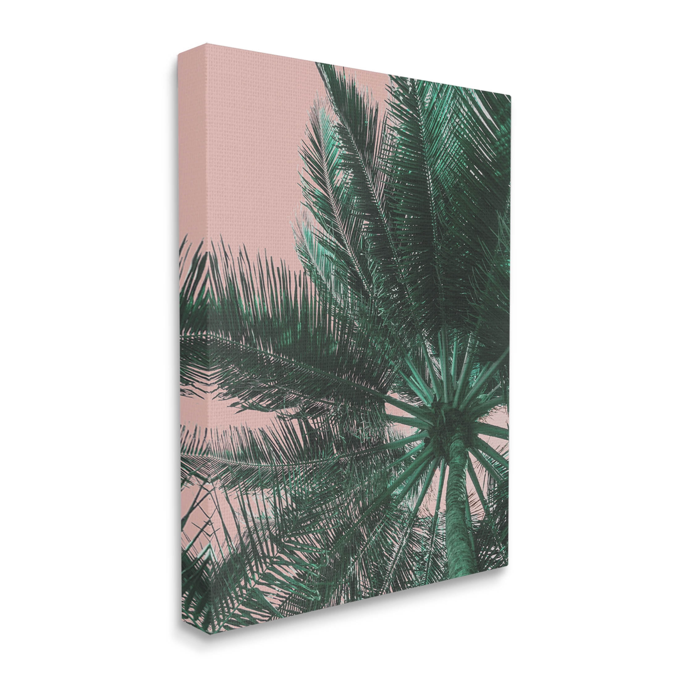 Stupell Industries Summer Overhead Palm Tree Photograph Gallery Wrapped Canvas Print Wall Art, Design by Lil' Rue