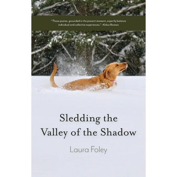 Sledding the Valley of the Shadow, (Paperback)