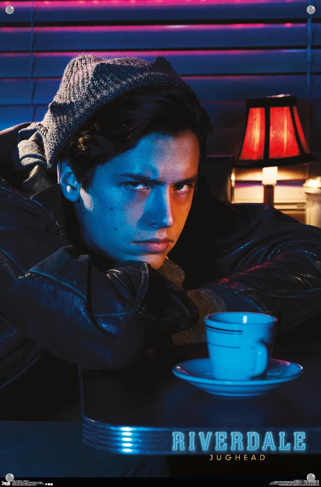 Riverdale - Jughead Wall Poster with Push Pins, 14.725" x 22.375"