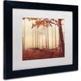 thumbnail image 2 of Trademark Fine Art "The Last of Fall" Canvas Art by Philippe Sainte-Laudy White Matte, Black Frame, 2 of 4
