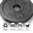 thumbnail image 3 of PROIRON Cast Iron Standard Plate 2.5Lb, Pair, 3 of 7