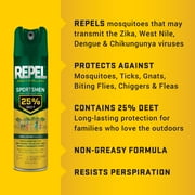 Repel Insect Repellent Sportsmen Formula 25% DEET, Aerosol Insect Killer, 6.5 Ounces