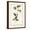 Brown Frame, variant on Art.com Grey-crowned Purple Finch Art Print by John James Audubon, 12" x 18"