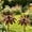 F, variant on 3 Pack Vintage Rusty Cornflower Statues Stake 12 Inch Metal Artistic Wire Art Decor, Rustic Garden Sculptures for Lawns Yard Patio Home Farmhouse Decoration