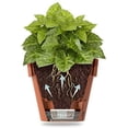 thumbnail image 4 of DecoPots -Self Watering Planter - Indoor Outdoor with Bottom Watering and Water Level Indicator 9.2", Sand, 4 of 8