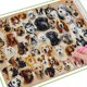 thumbnail image 2 of FULLCANG-pintura de diamante 5d diy, kit de punto de cruz de perro bonito, mosaico de diamantes de imitación, bordado de animales, decoración del hogar para mascotas, FG1386, 2 of 3