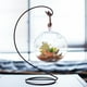 thumbnail image 4 of 10 piezas de plantas en maceta en miniatura, decoración de bonsái para el hogar, simulación de planta en maceta, 4 of 5