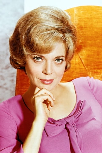 Barbara Bain 24X36 Poster Mission Impossible Glamour - Walmart.com