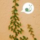 thumbnail image 4 of unbranded 20Ud Fijador De Plantas Para Pared Con Clip De Plástico Y Duradero Para Jardín, 4 of 8