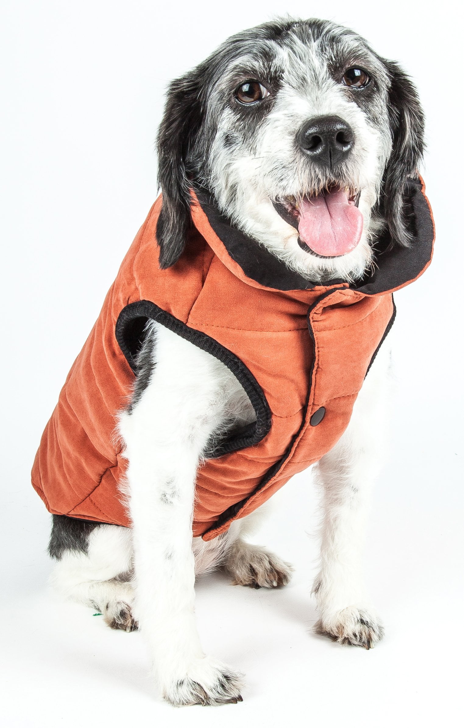 Touchdog Tough-Boutique Adjustable Fashion Dog Harness