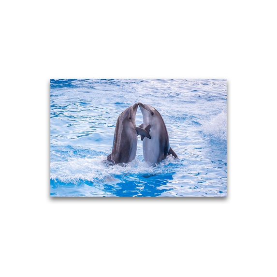 Cute Dolphins Hugging Poster -Image by Shutterstock
