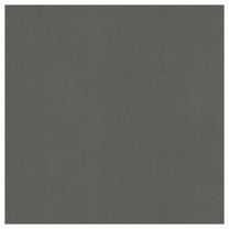 Cardstock Warehouse Lessebo Rhino -12 x 12 inch Cardstock Paper Paper 83 lb. - 25 Sheets