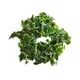 thumbnail image 2 of Corona de primavera, hojas artificiales, corona de pared, corona decorativa de hojas verdes para 35cm, 2 of 9
