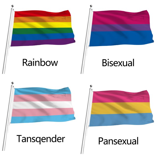 Drapeau Arc-en-Ciel Fibre de Polyester Coloré Pliable Décoration Homosexuelle Réutilisable Drapeaux avec 2 Trous Bannières Accessoire Extérieur Bleu Violet Rouge Vin 90*150CM