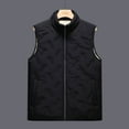 thumbnail image 3 of Men's Warm Down Cotton Vest-Fleece & Thickened, 3 of 6