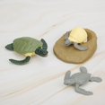 thumbnail image 1 of Modelo animal del ciclo de crecimiento de las tortugas exquisitas de la educación temprana para la decoración del hogar de los niños ANGGREK Otros, 1 of 8