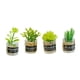 thumbnail image 5 of Plantas en miniatura para casa de muñecas, modelo de adorno, juguete de simulación, plantas diminutas, escala 1/12 Estilo B, 5 of 9