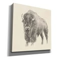 thumbnail image 2 of Epic Graffiti 'Western Bison Study' by Ethan Harper, Canvas Wall Art, 12"x12", 2 of 3