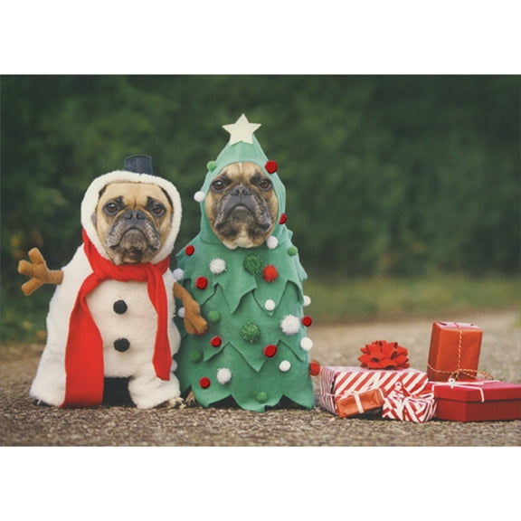 Northern Exposure Two Pug Dogs Wearing Snowman and Evergreen Tree Costumes Box of 12 Humorous / Funny Christmas Cards