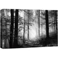 thumbnail image 3 of PixonSign Canvas Print Wall Art Sun Shines On Forest Floor Nature Wilderness Photography Modern Art Contemporary Landscape Dramatic Dark Black and White for Living Room, Bedroom, Office - 32x48, 3 of 5