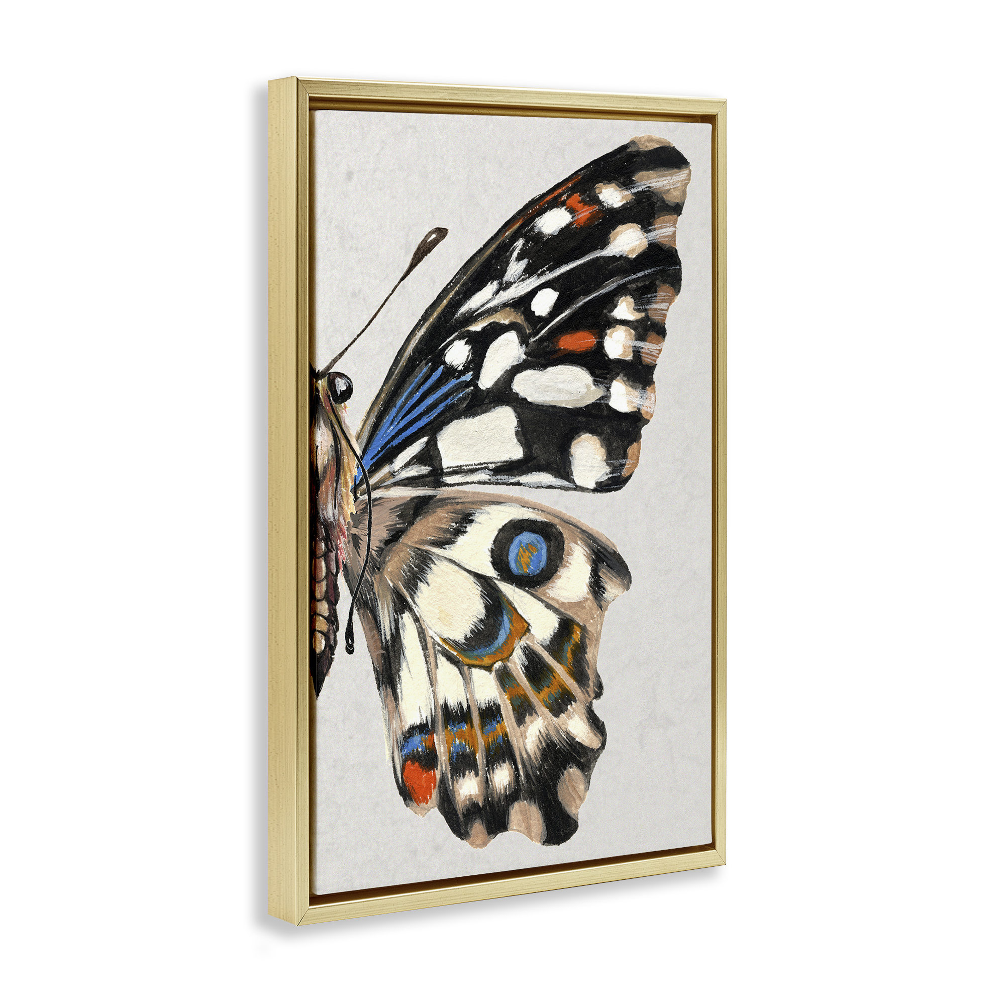 Stupell Industries Butterfly Wing with Spots Animals & Insects Painting Gold Floater Framed Canvas Art Print Wall Art, 21 x 31