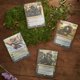 thumbnail image 5 of Magic: The Gathering Bloomburrow Commander Deck Bundle - Includes All 4 Decks (Animated Army, Family Matters, Peace Offering, and Squirreled Away), 5 of 6