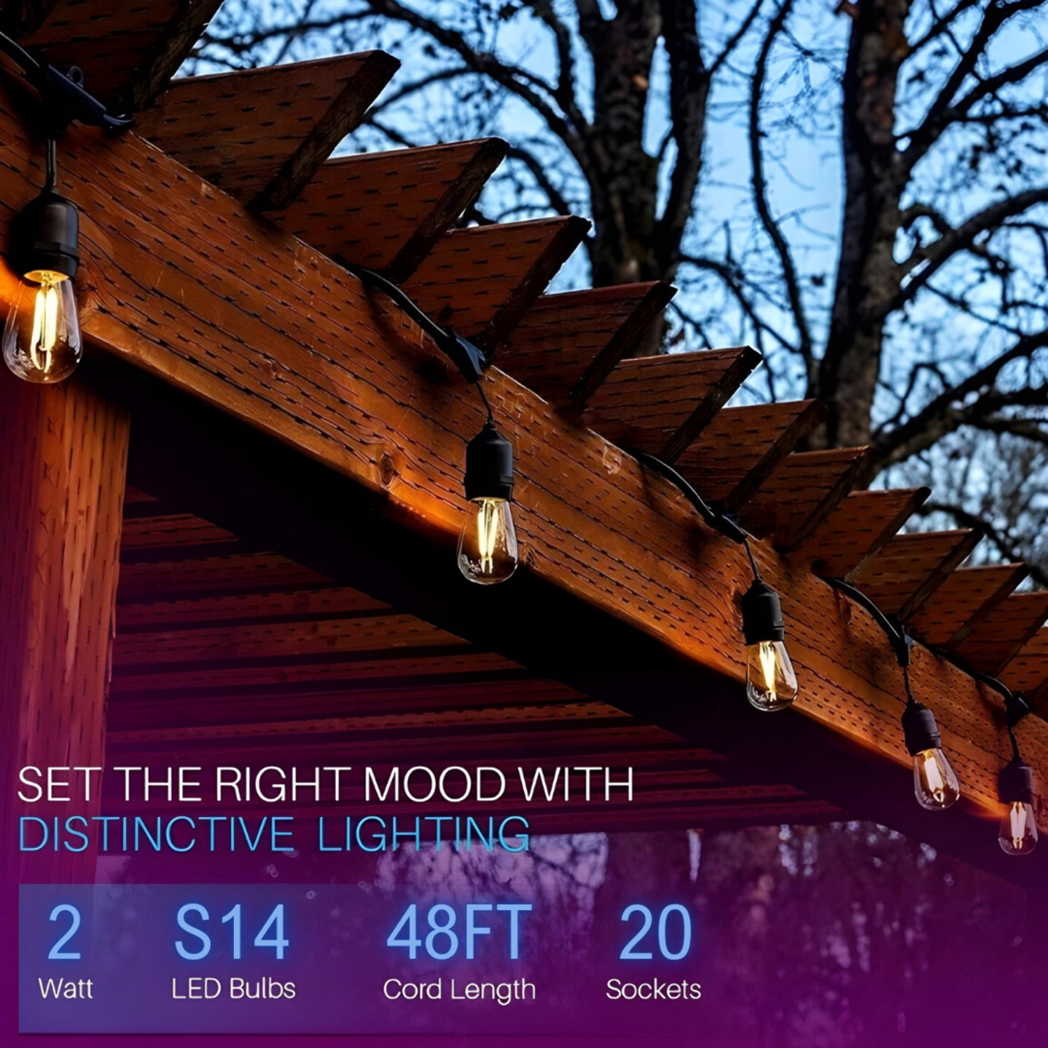 SL101  LED Low Voltage Bistro String Lights 48 FT Outdoor Weatherproof 12V Edison Bulbs