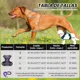 thumbnail image 3 of Pechera Para Perro Arnés Ajustable Reflectantes Con Correas, 3 of 8