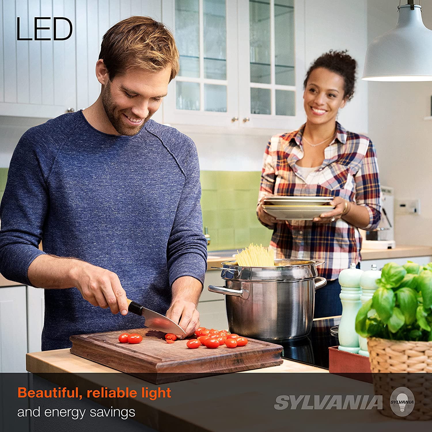 Sylvania Eco Led A19 Light Bulb 100W Equivalent Pack of 6: 100W/White