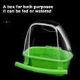 thumbnail image 3 of Pebbuoy Bird Feeder Clear Dual-Purpose Feeder with Perch Easy Installation Parrot Water Feeder Bird Supplies, 3 of 8