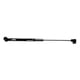 thumbnail image 1 of Resorte de gas Sierra GS62610 14 cm Marino, 1 of 6