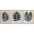 thumbnail image 2 of PixonSign Adhesive Canvas Print Wall Art Set - Monochrome Fern Leaf Silhouette Botanical Poster Art - Set of 3 Nature Wilderness Leaves Plants Prints Wall Décor for Living Room - 8"x10", 2 of 5