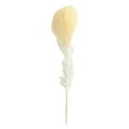 thumbnail image 2 of Sunjoy Tech Single Pampas Grass Non-fading Not Withered Wedding Decor Multicolor Simulation Round Head Reed for Hotel, 2 of 8