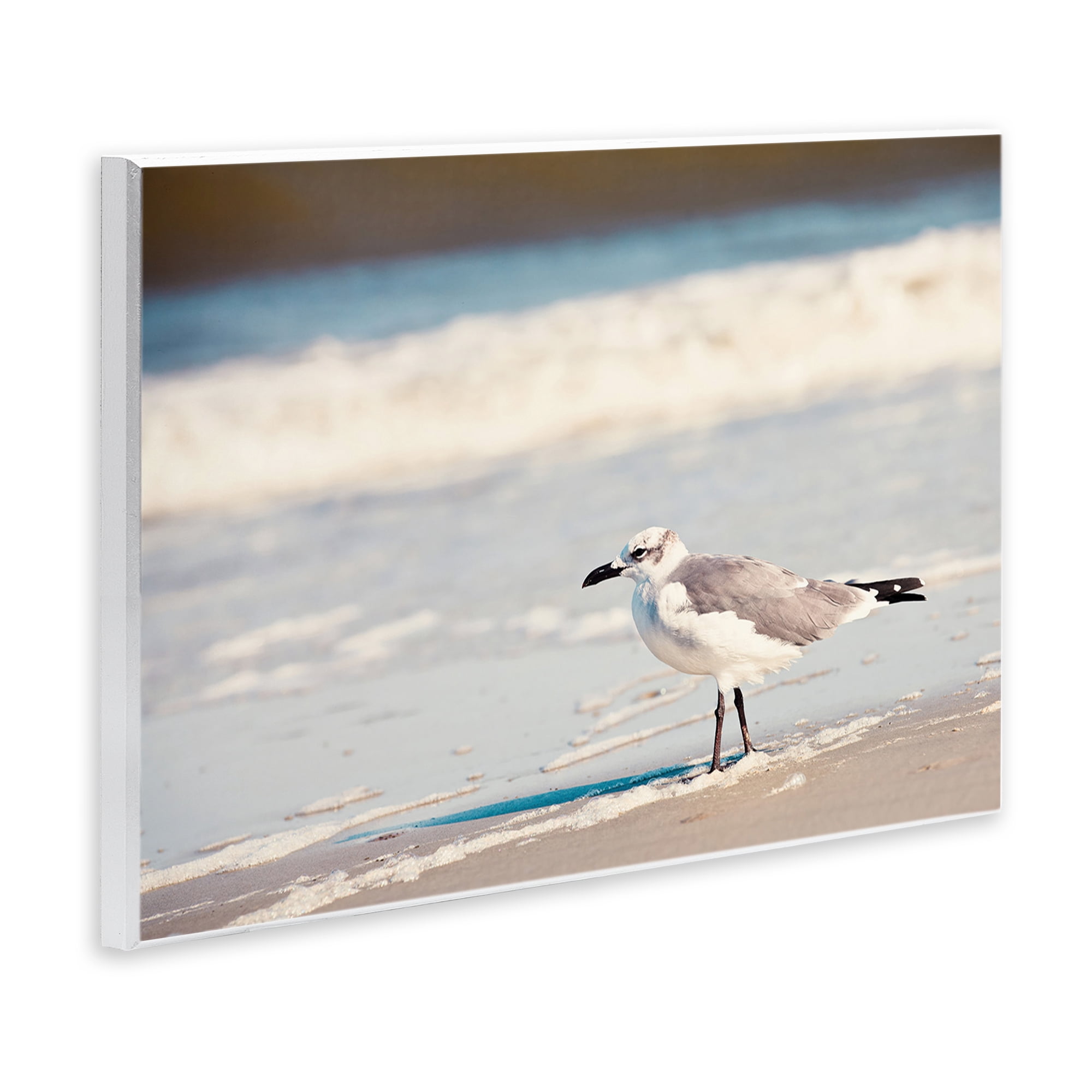 Stupell Industries Seagull Stepping on Shore Coastal Photography Unframed Art Print Wall Art, 19 x 13