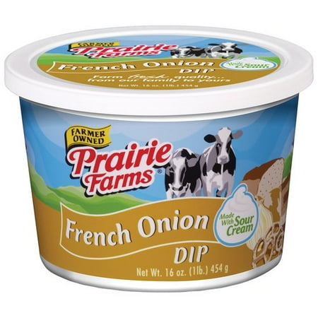 prairie farms farmer owned french onion dip 16 oz walmart com