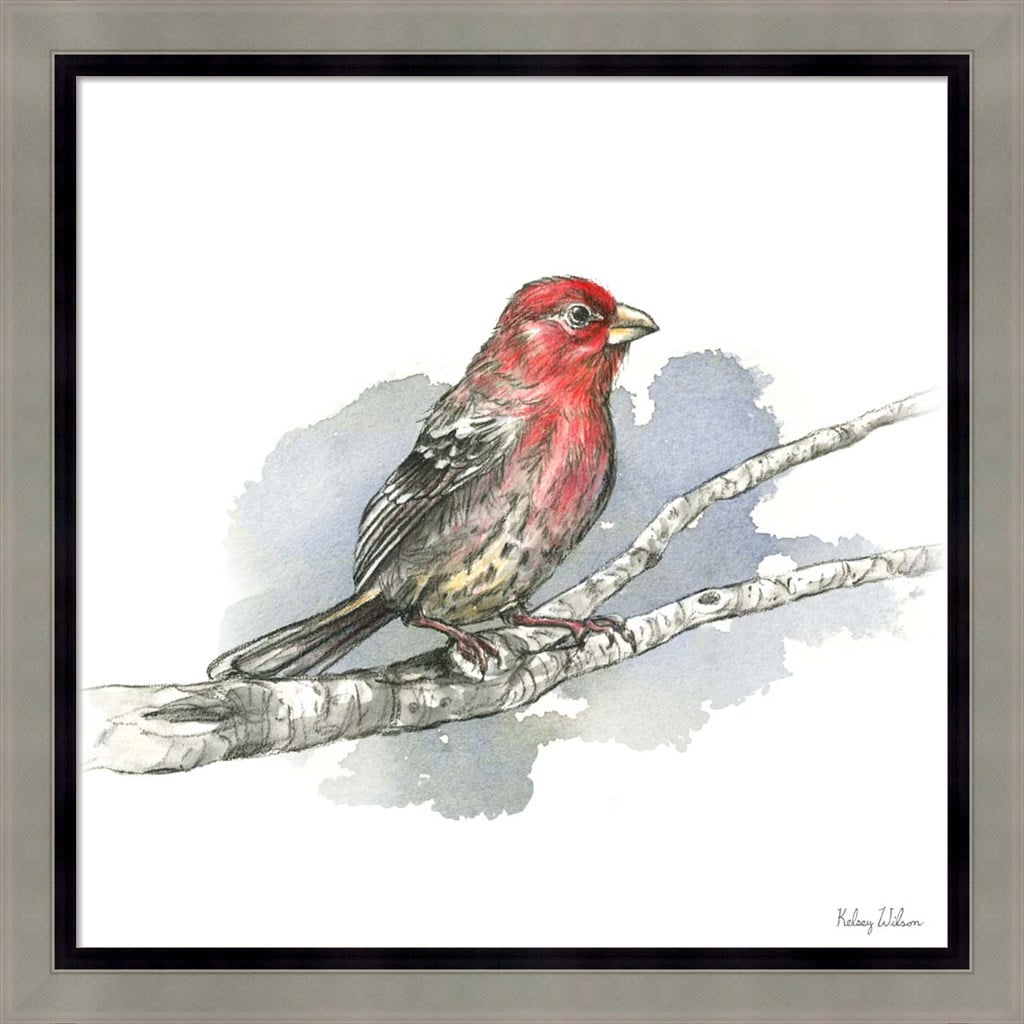 House Finch Bird Print with Silver Wood Frame, 18.5" x 18.5"