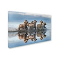 thumbnail image 2 of Trademark Fine Art 'Horses And Reflection' Canvas Art by Xavier Ortega, 2 of 3