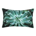 thumbnail image 3 of Salouo Teal Cactus Print Print Pillow Case Cover,Wrinkle-Free Bed Pillow Cover Pack of 1 Home Decor Fade-Resistant and Stain-Resistant ,Pillows Not Included -20"x30", 3 of 8