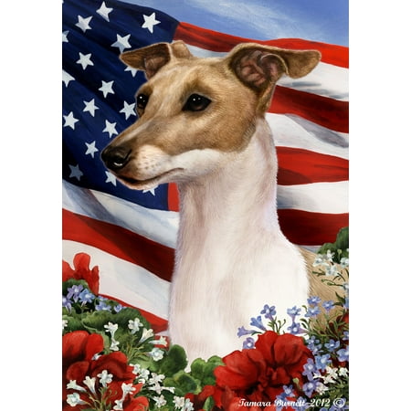 Italian Greyhound Fawn and White - Best of Breed  Patriotic I Garden