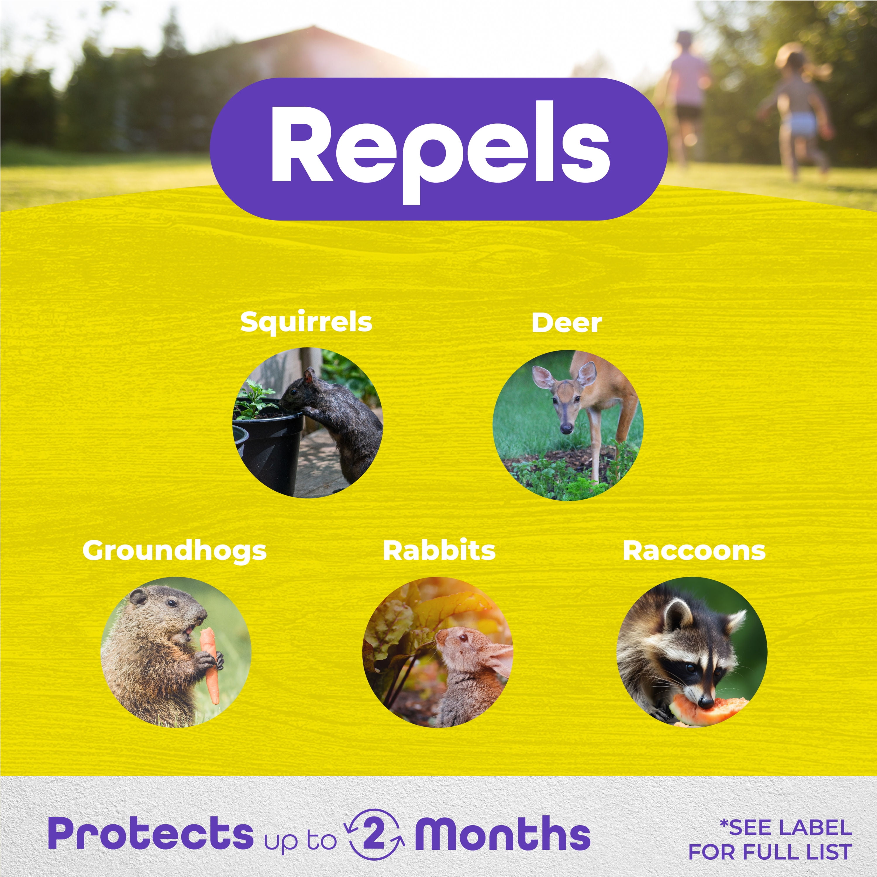 Bonide Repels All 3 lbs Animal Repellent Ready-to-Use Granules for Outdoor Use