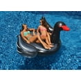 thumbnail image 4 of Swimline 90628 Giant Inflatable Ride On 75 Inch Opaque Black Swan Pool Float, 4 of 5