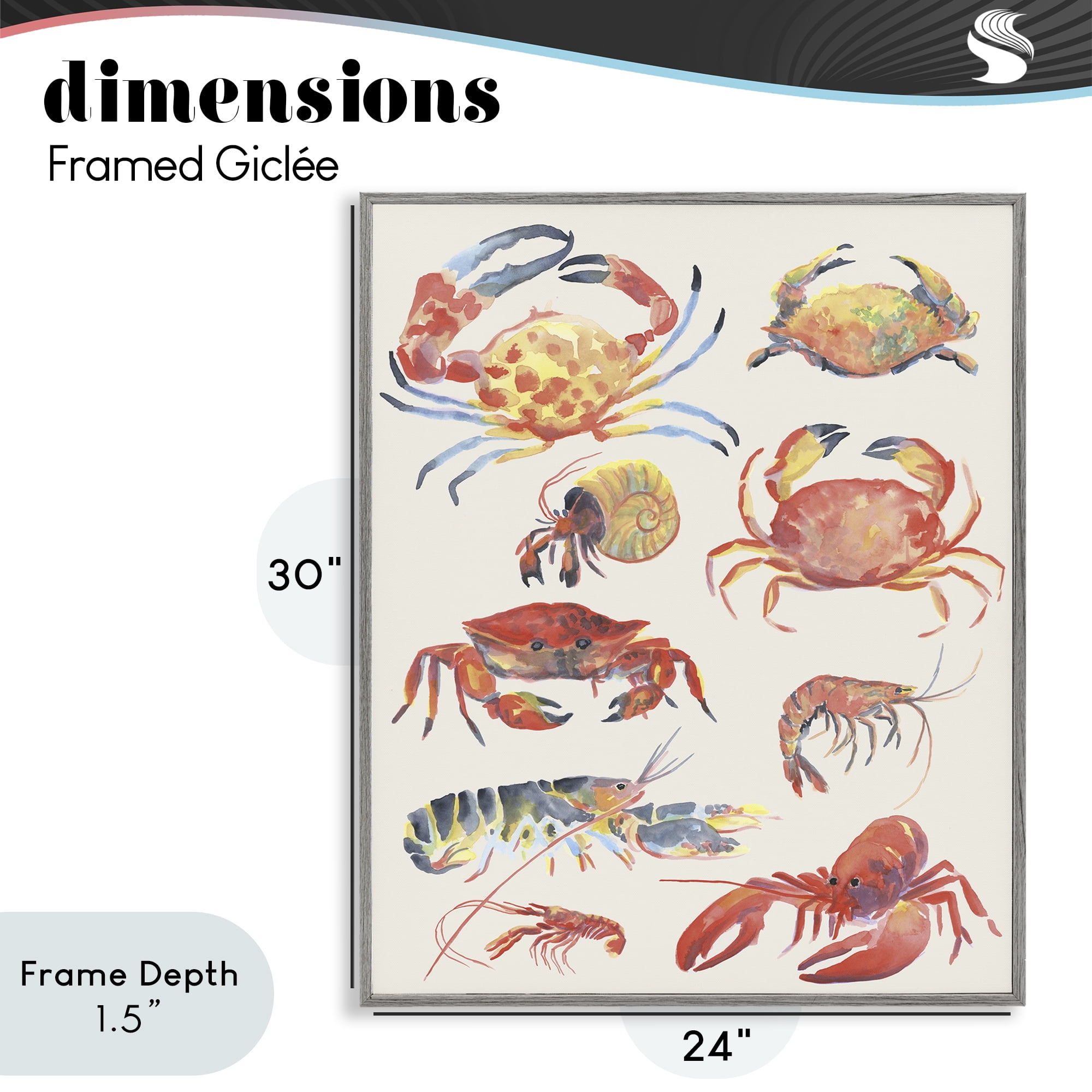 Stupell Industries Nautical Crustacean Collection Gray Framed Giclee Art, design by June Erica Vess