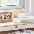 thumbnail image 3 of Succulent artificial plants, artificial plants are used for home office decoration Style1, 3 of 5